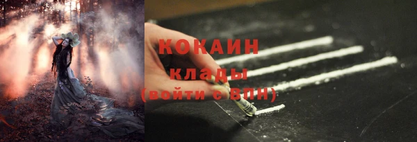 мдпв Иннополис