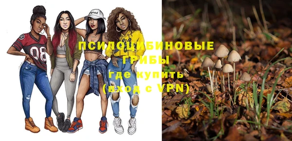 мдма Инта